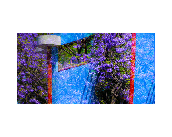 Diego Studio Garden 1