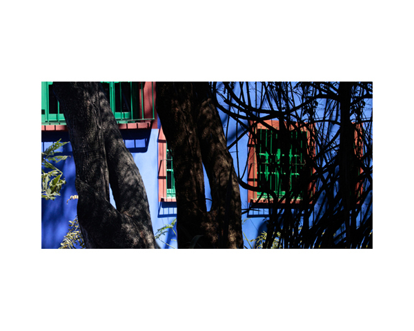 Frida Kahlo House Garden 1