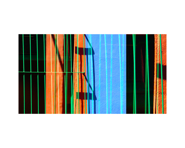 Frida Kahlo House Garden 3