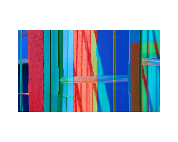 Frida Kahlo House Garden 4