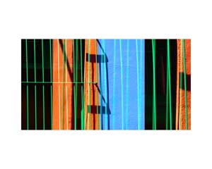 Frida Kahlo House Garden 3