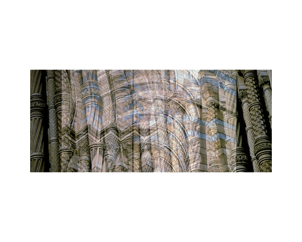 Natural History Pillars