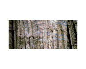 Natural History Pillars