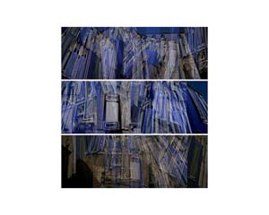 Venice Fortuny H Triptych