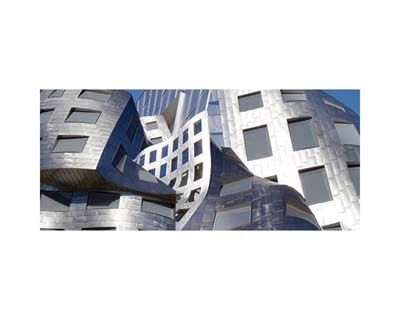 Gehry LV Ruvo Center 1