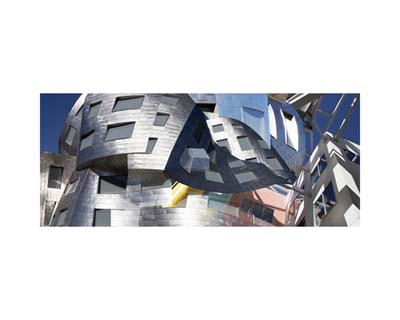 Gehry LV Ruvo Center 8