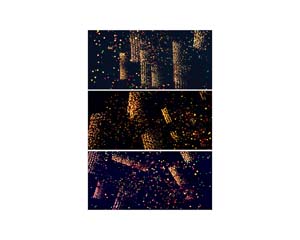 Christmas Palms Triptych