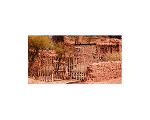 Atacama Stick Gate 2