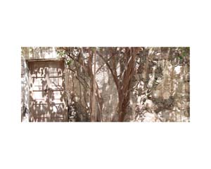 Walls and Doorways 1