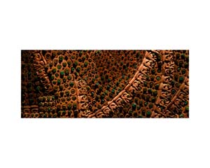 Silver Large Necklace 1B