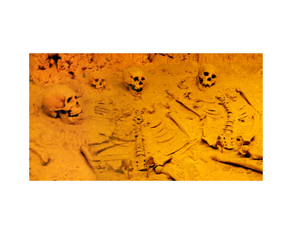 Skeletons 2