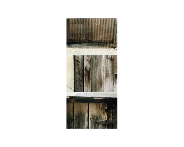 Silverplume II Colorado