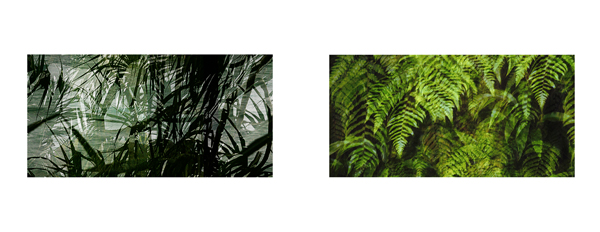 087 Mom Tris Palms 3#80044