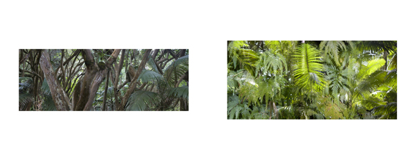 093 onomeaRFBrowntre#80047