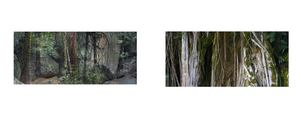 095 yosemite trail(j#80048