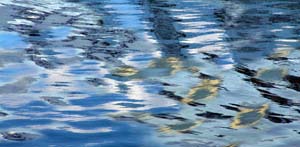 Untitled-147  PRINT final