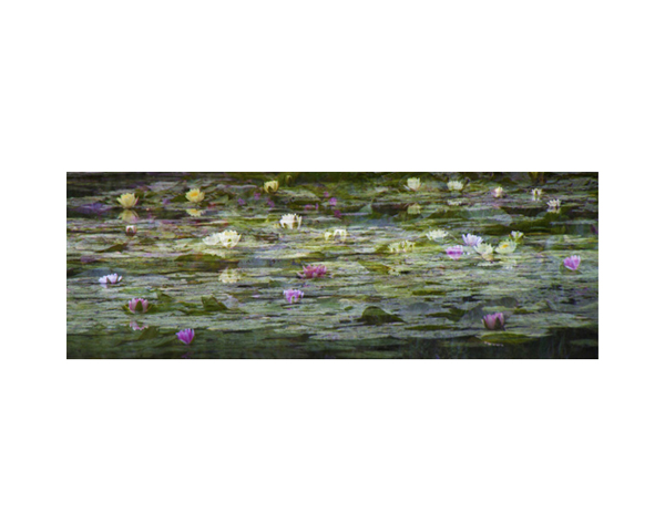 Giverney 7b France