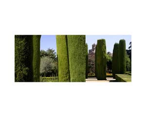 Alcazar Garden 4 Cordoba