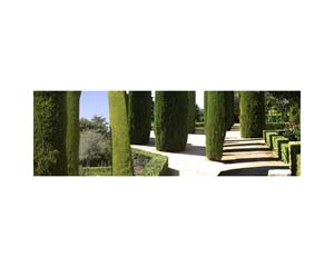 Alcazar Garden Cordoba 1