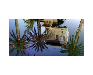 Alhambra Reflections