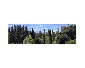 Spain Landscape 1c