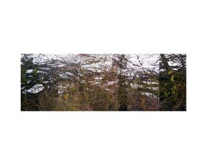 Snow Hedge NY