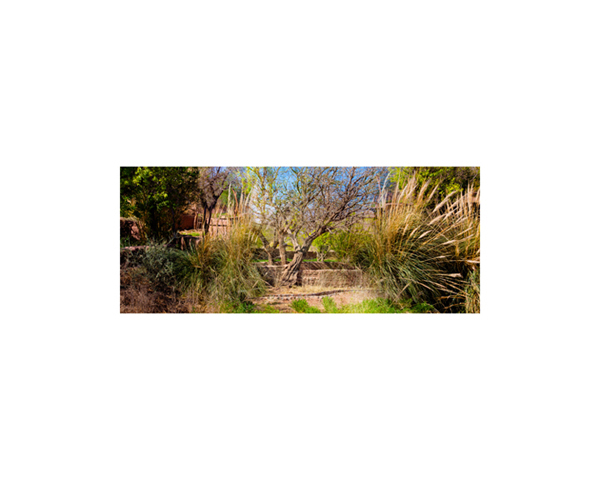 Atacama Ranch