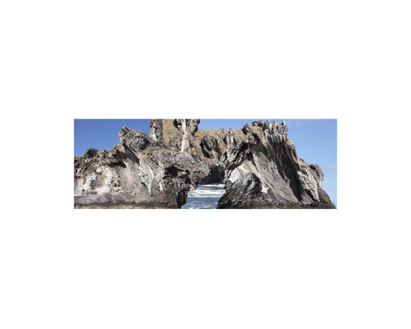 Bird Island 3