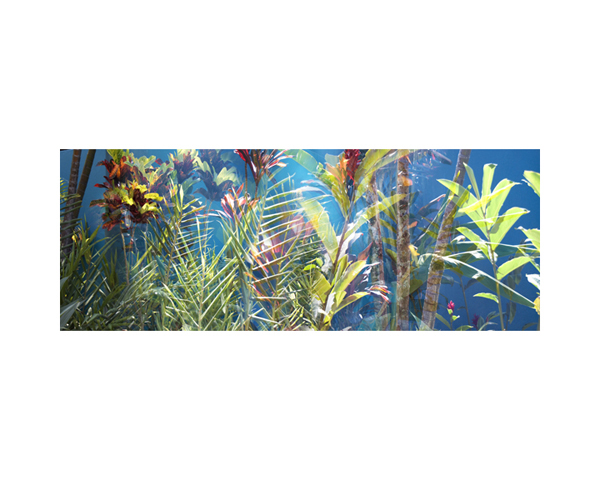 Flowers Light Blue Wall