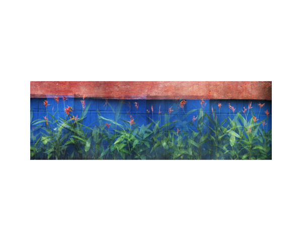 Flowers by Wall day 4