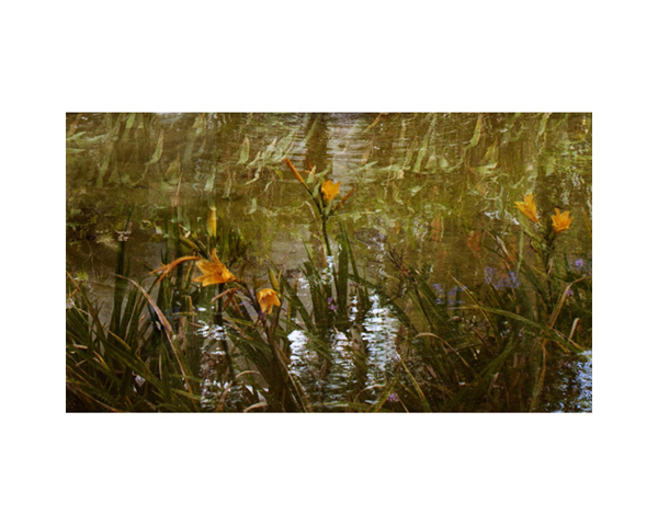 Haciendas 2bc Costa Rica