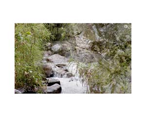 Stream 1   Costa Rica