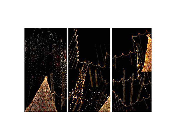 Christmas Lights Wilshire