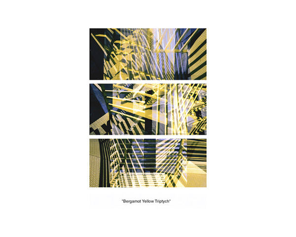 Bergamot Yellow Triptych