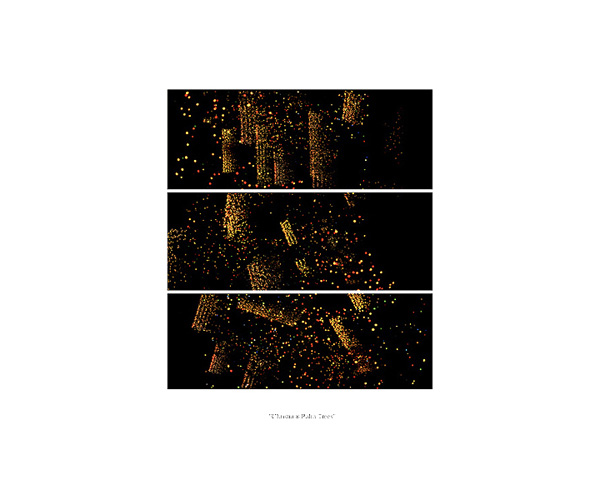 Christmas Palm Trees