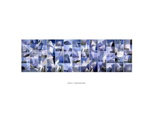 Disney Hall 13 panels