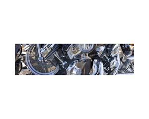 Harley Motorcycle Nevada