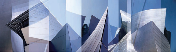 Disney Hall VII