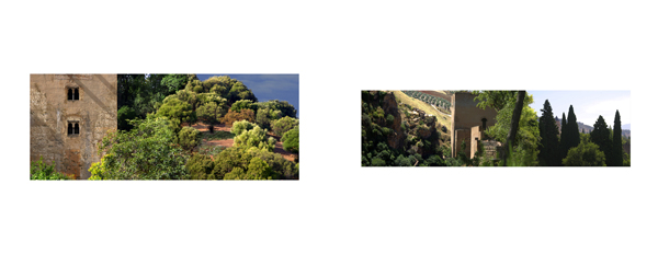 015 Landscape 1ab Ho#80008