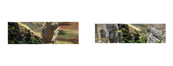 017 Landscape 2 Gras#80009