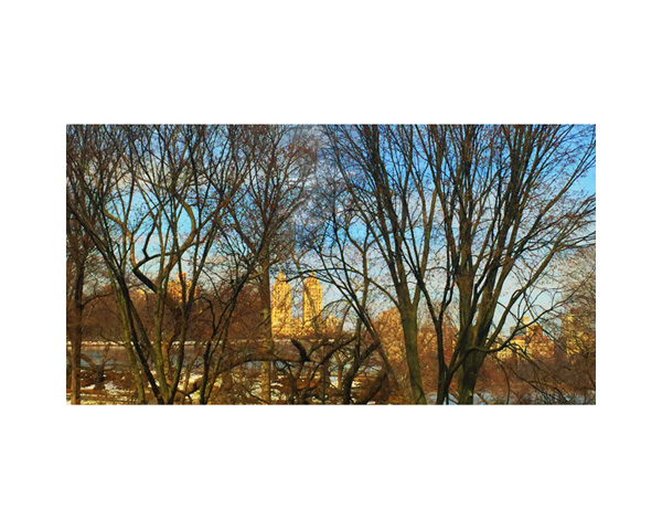 Central Park Guggenheim