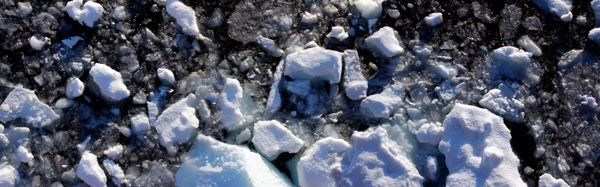 Untitled-170  PRINT final