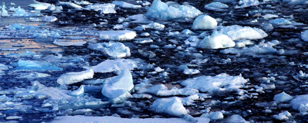 Untitled-172  PRINT final