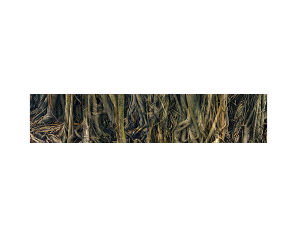 Vines Thailand Long