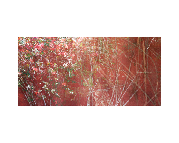 Red Temozon Walls 2A 