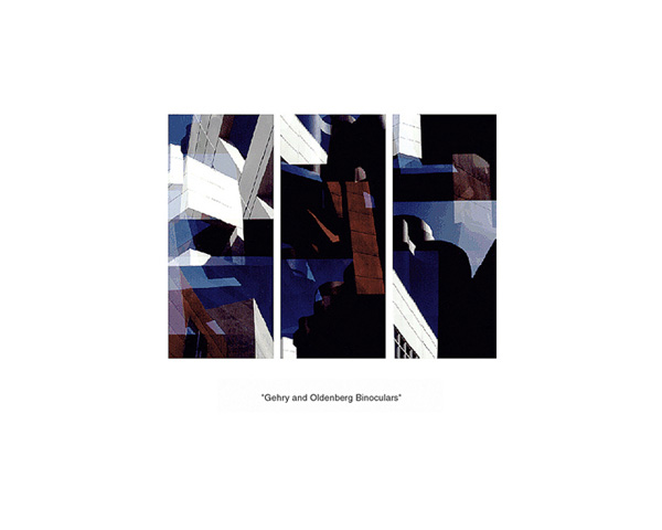 Gehry Binoculars 2